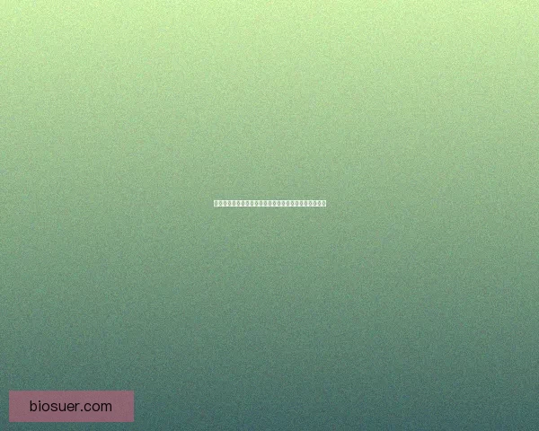 信长之野望战国立志传：英雄崛起与乱世争锋的终极征途