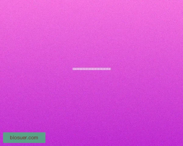 梦幻西游化生寺加点方案全面解析助你打造最强辅助角色