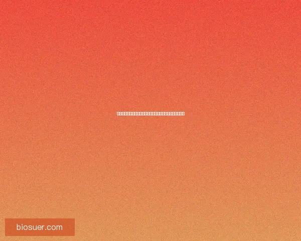 飞信客户端下载指南及安装步骤详解，轻松连接朋友畅聊无阻