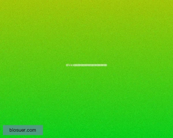 以Niko为核心探索人工智能技术的创新发展与未来趋势分析